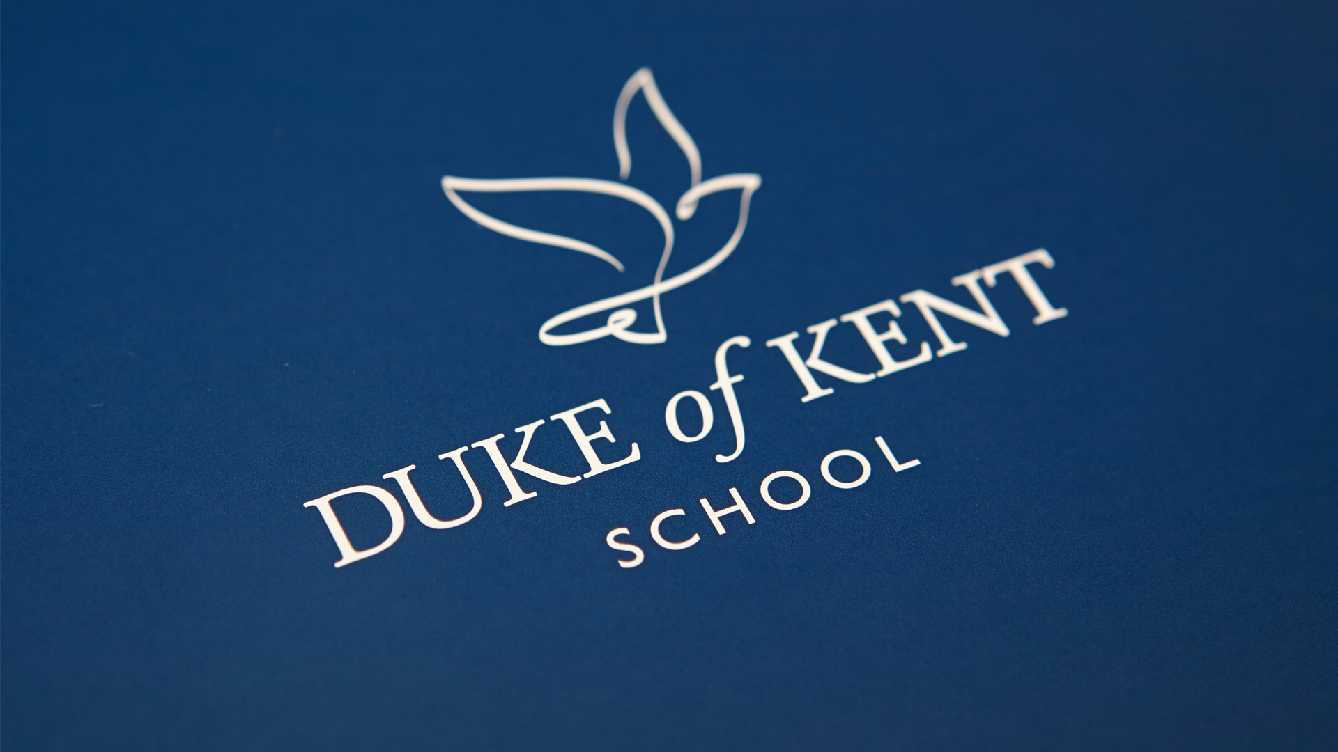 Duke Of Kent branded logo blue